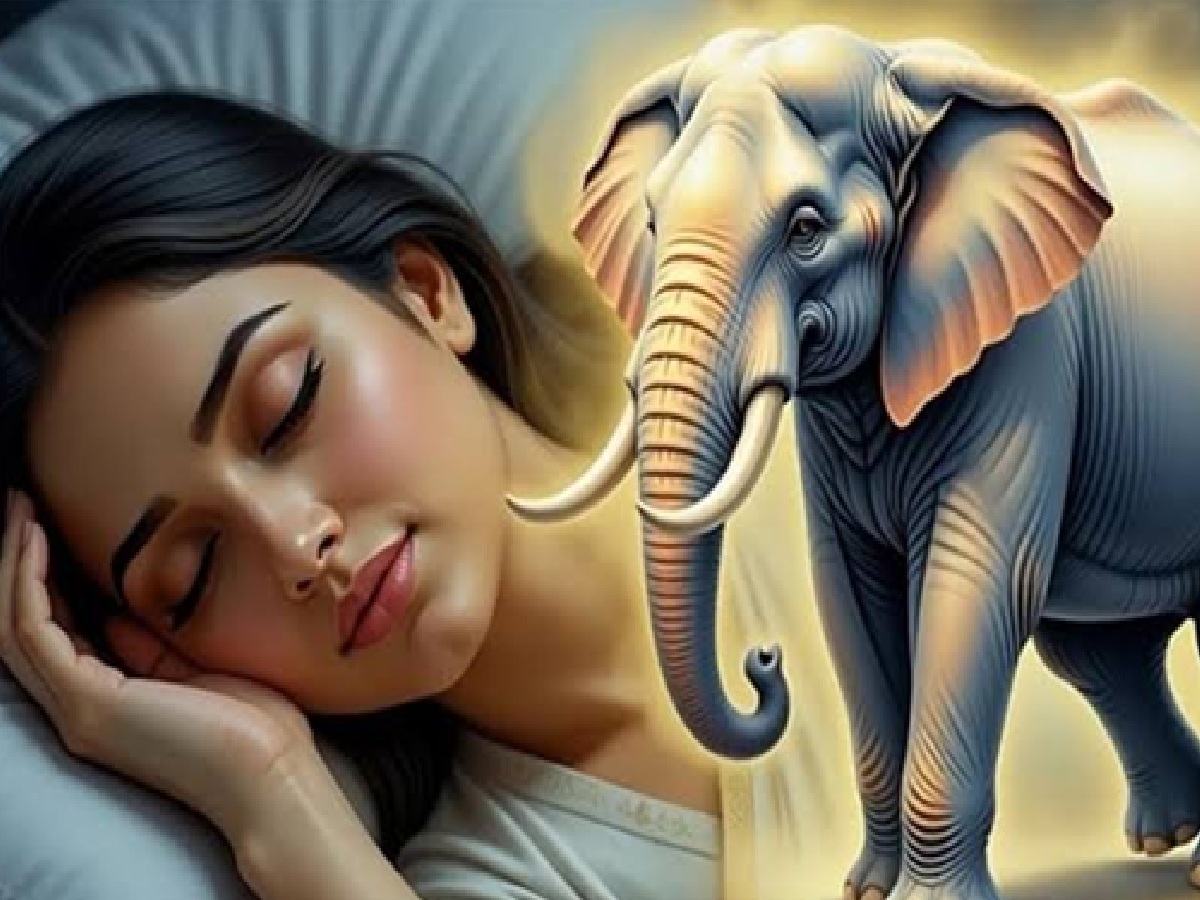 Dreaming of an Elephant, Here Is What This Divine Sign Reveals About Your Future