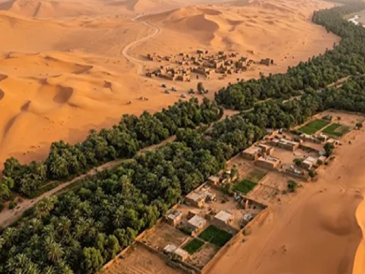Africa’s 8,000-KM 'Great Green Wall': The Ambitious Eco-Project Fighting Climate Change