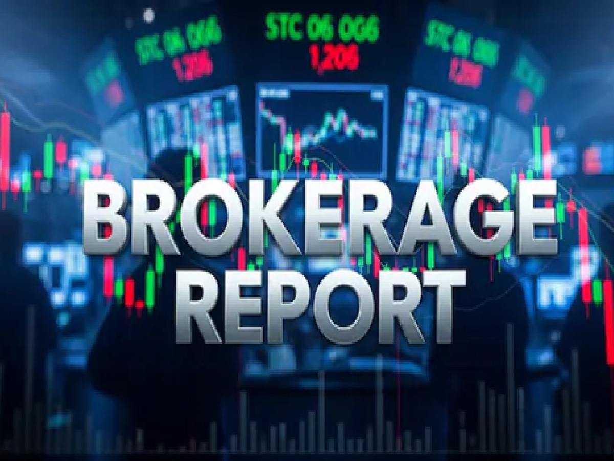 7 Stocks in Spotlight, Experts Reveal New Buy Targets & Growth Outlooks