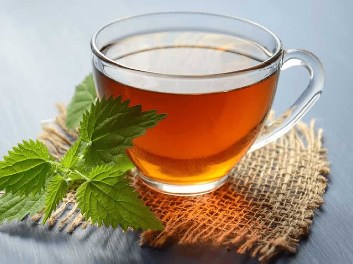 Monsoon Health Shield: How a Traditional Tulsi, Black Pepper, and Clove Decoction Can Protect You From Viral Infections