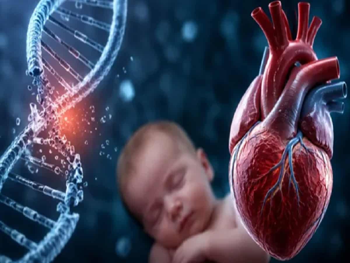New Study Reveals How DNA 3D Structure Disruption Increases Childhood Heart Defect Risks