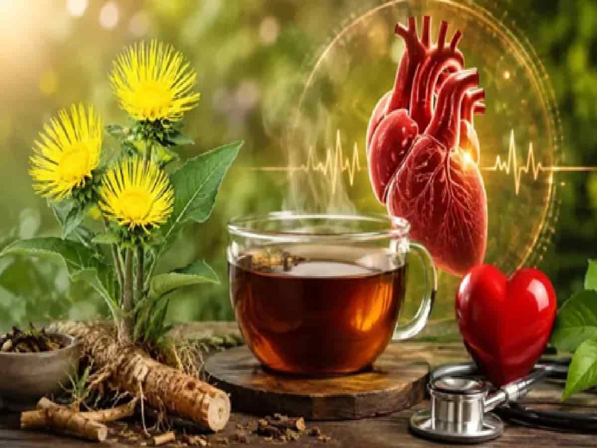 Ayurvedic Breakthrough: Pushkarmooladi Kwath Offers Miraculous Relief for Angina
