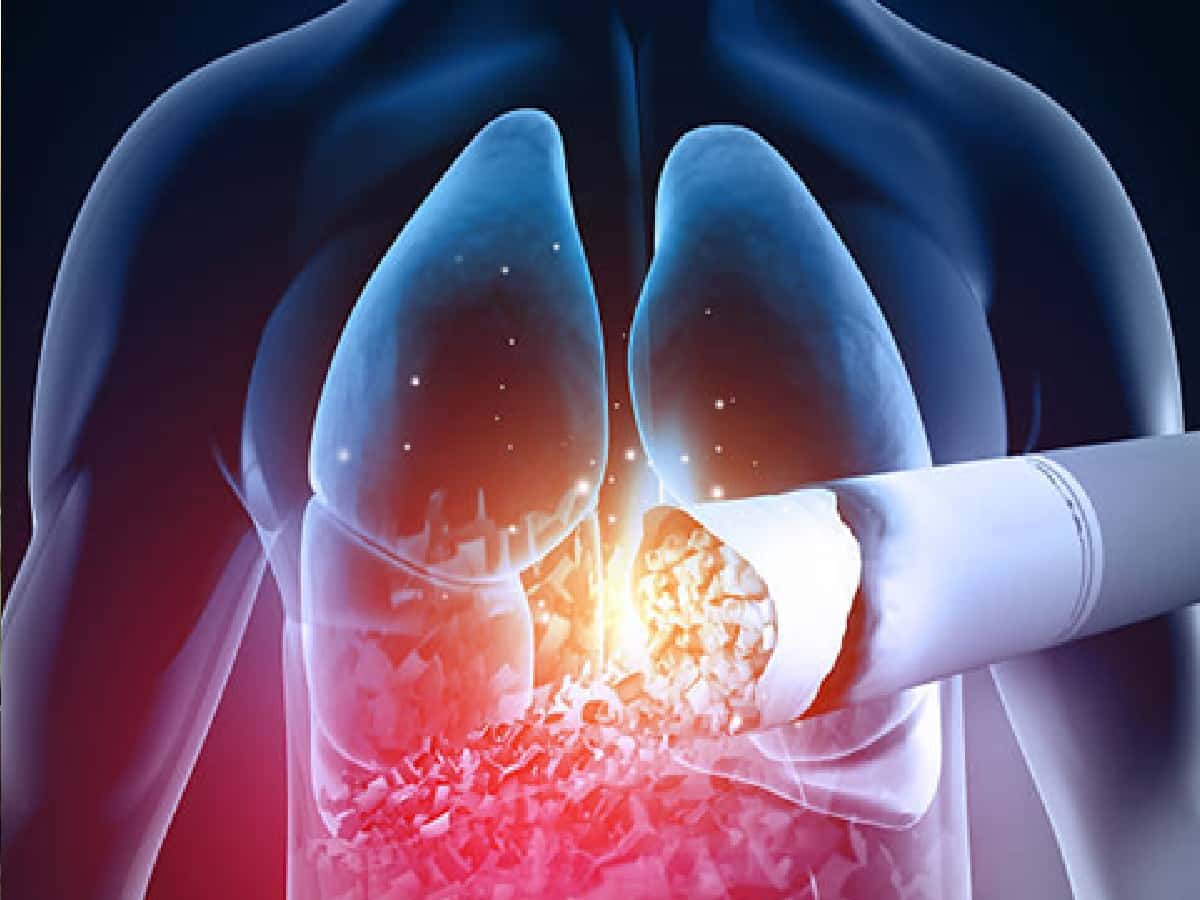 Does the First Cigarette Damage Your Lungs, The Truth About Occasional Smoking