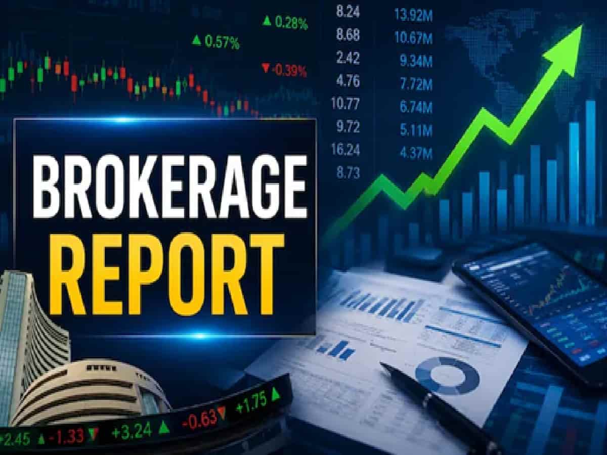 Stock Market Alert: Top Brokerage Picks for Today – TVS Motor, Fortis Healthcare, and Key IT & Agrochemical Targets