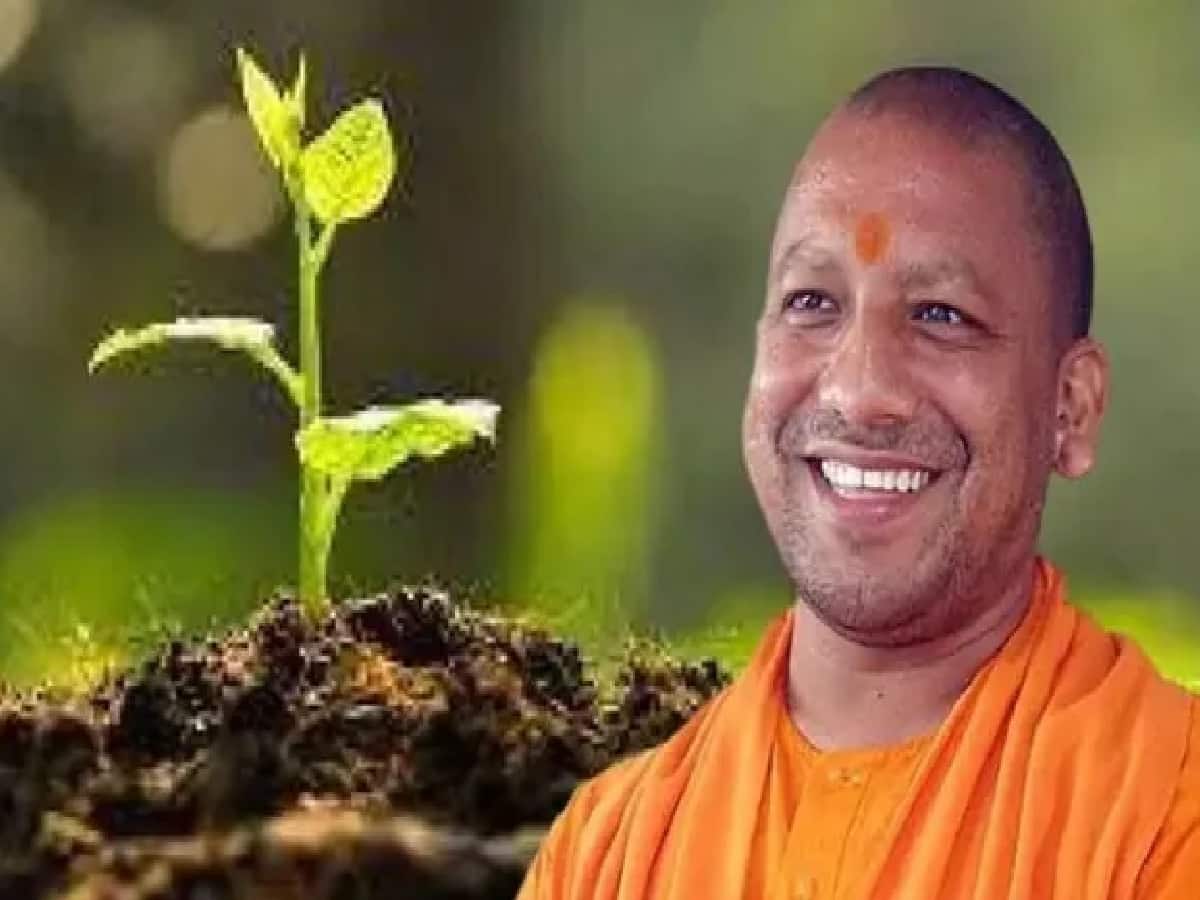 Eco-Friendly Raksha Bandhan in UP: Siblings to Plant Trees and Tie Rakhis for Environmental Protection