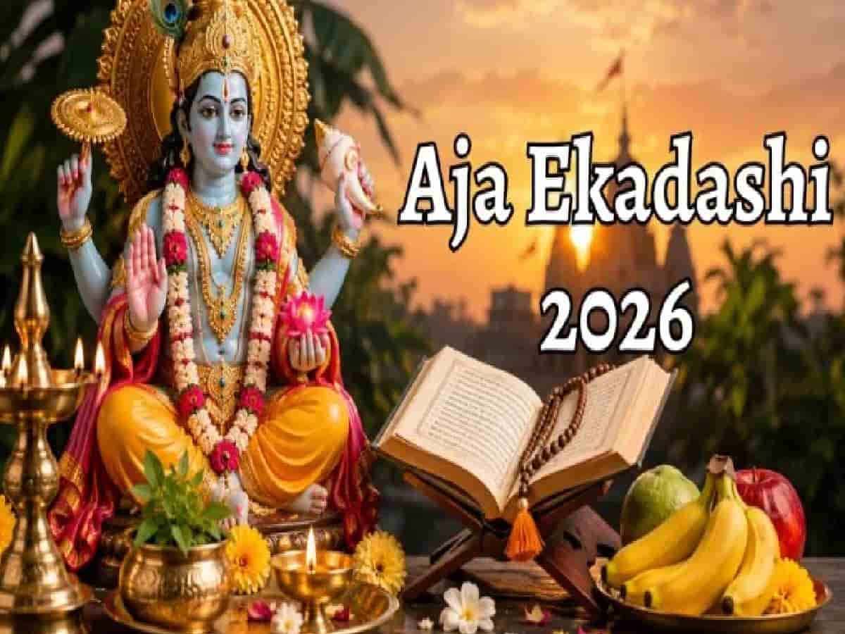 Aja Ekadashi 2026: Want Lord Vishnu and Goddess Lakshmi's Blessings, These 5 Sacred Tulsi Rules Today