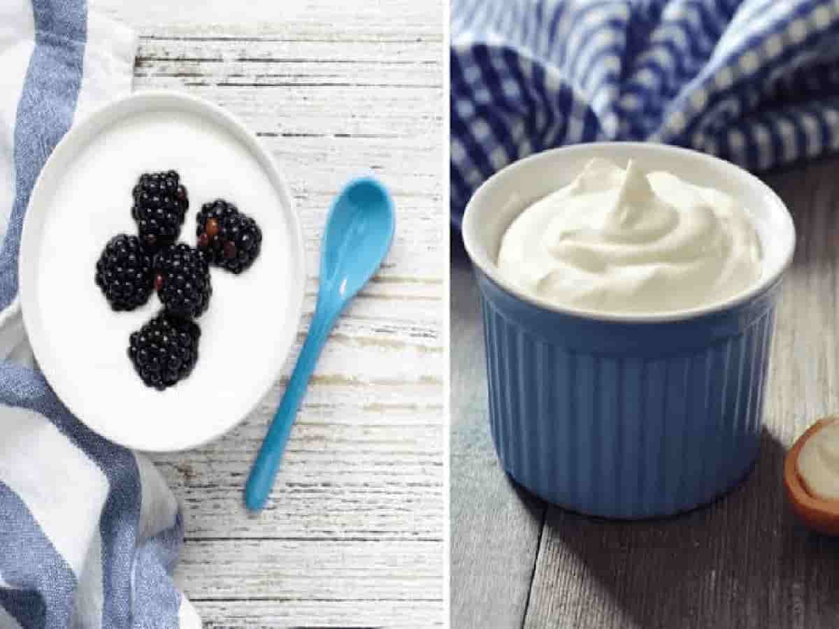Morning, Afternoon, or Night: What Is the Best Time to Eat Curd for Maximum Health Benefits