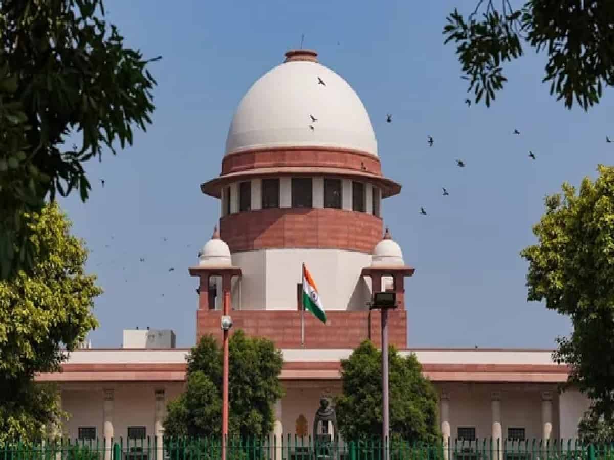 Supreme Court Greenlights Removal of 13,000 Invasive Trees from Delhi's Central Ridge for Eco-Restoration