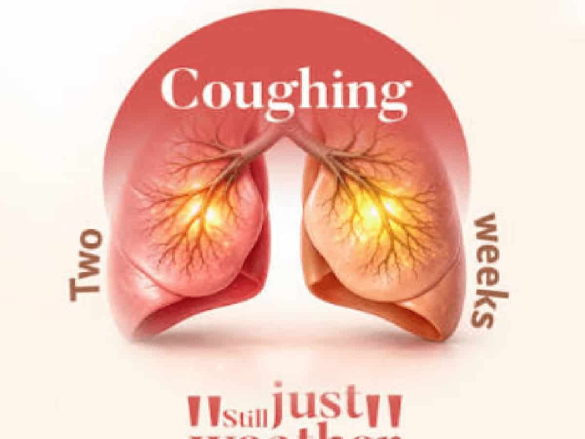 Pulmonologists Flag 5 Warning Signs of Serious Lung Disease on World Lung Day