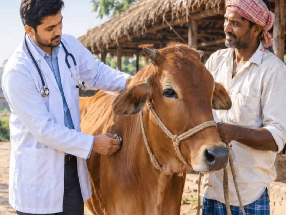 Apply Online for 787 Touring Veterinary Officer Posts with Salary Up to Rs 1.67 Lakh