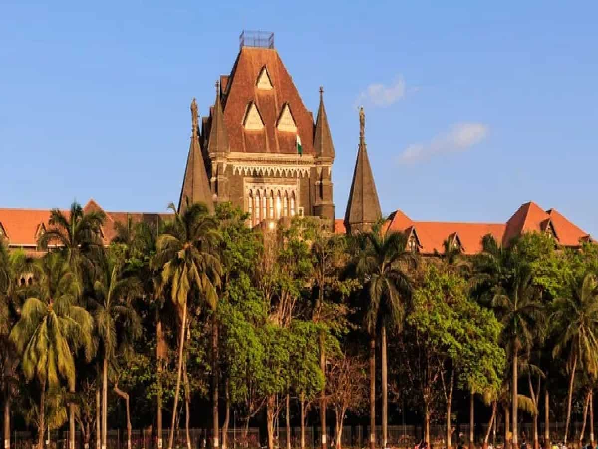 Forget Law, Chase Software, Bombay HC Slams Election Commission Over SIR Glitches