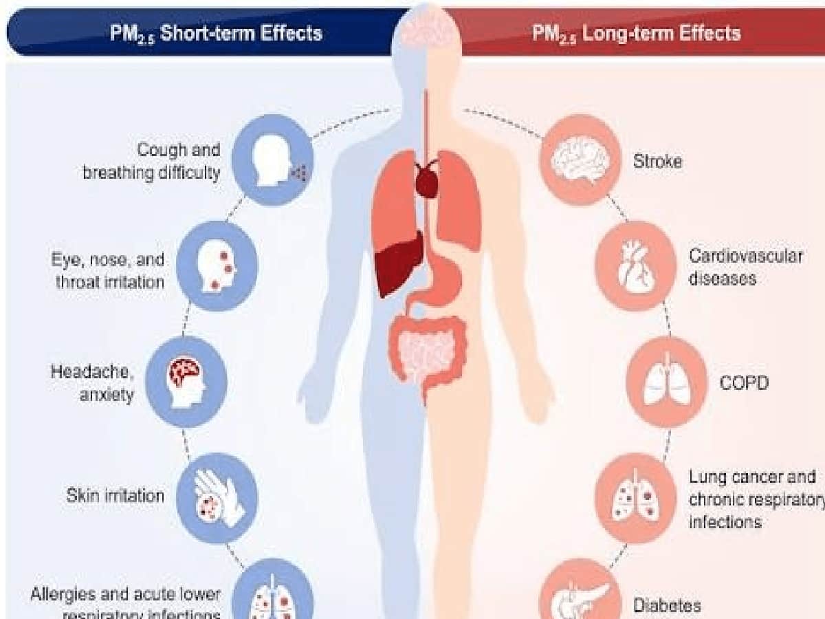 Toxic PM 2.5 Triggers Severe Vascular Inflammation and Cardiac Risks in Youth
