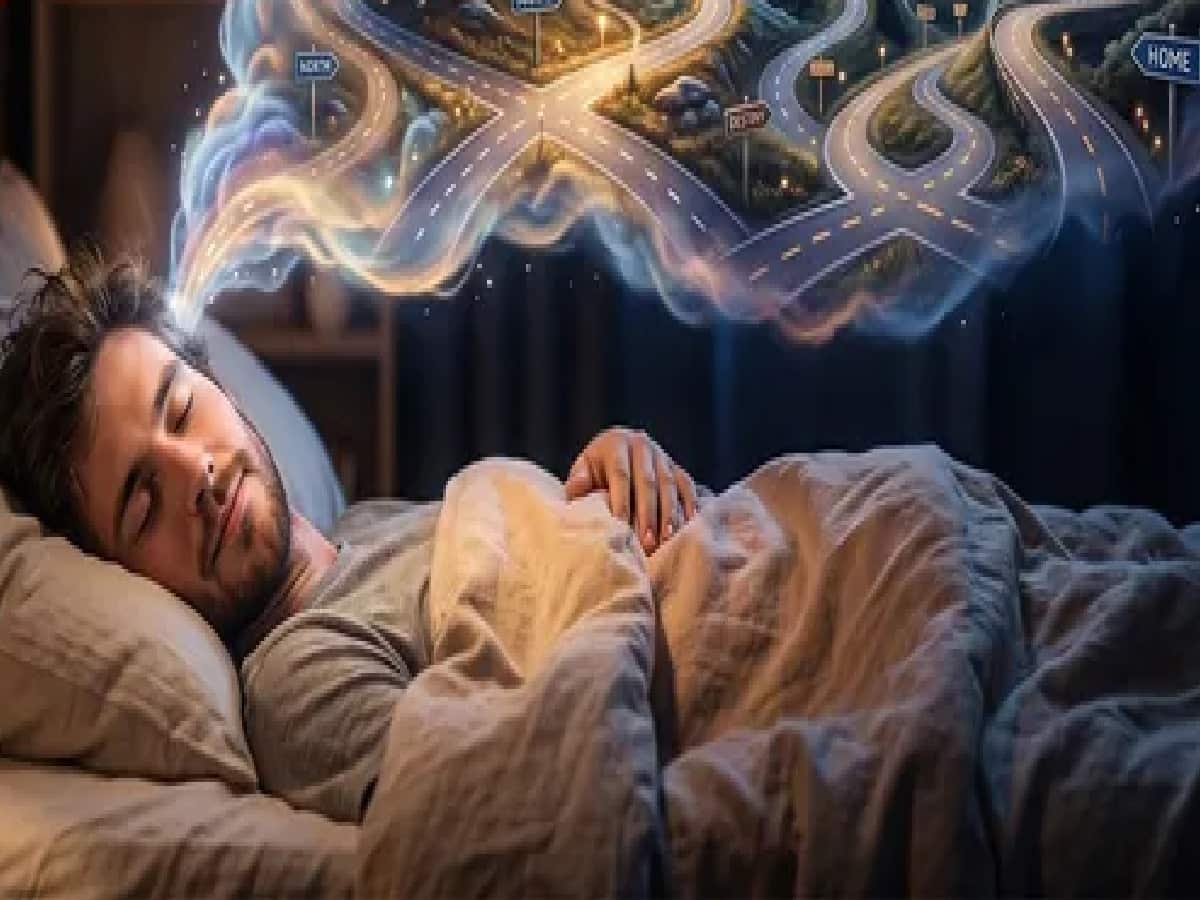 Getting Lost in a Dream: Hidden Warning of Life Crisis or Call for Direction
