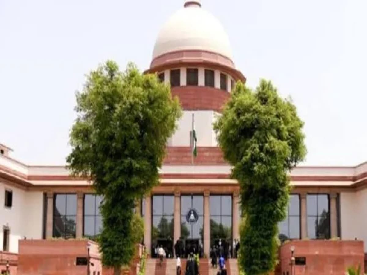 SC Reinstates Lookout Circular Against Grandparents, Gives US Father 4-Week Ultimatum