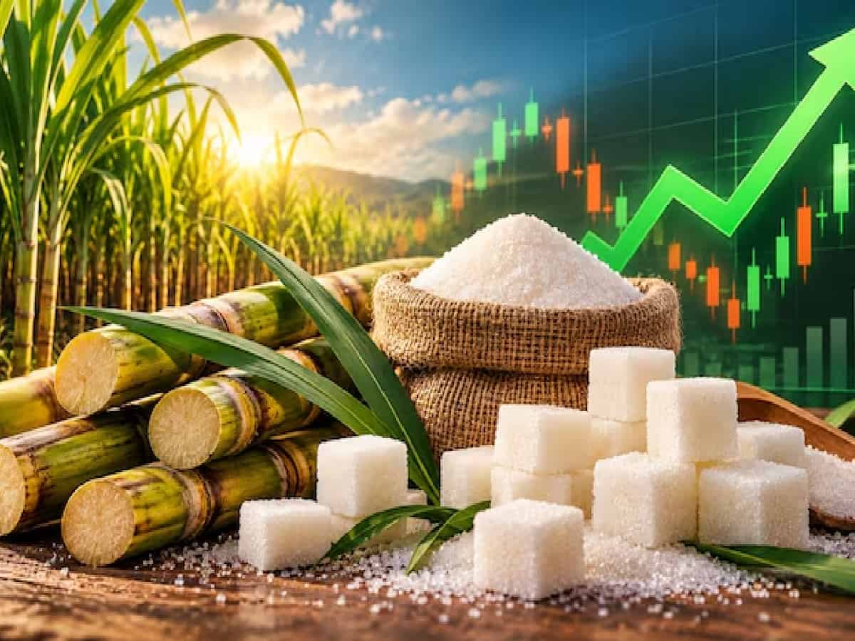 Global Prices Hit Highest Level Since Dec 2024 as Severe Supply Crunch Fears Mount