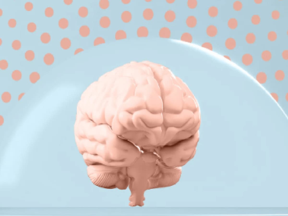 Why Your 'Laziness' Is Actually Mental Fatigue and 7 Simple Lifestyle Shifts to Reset Your Brain