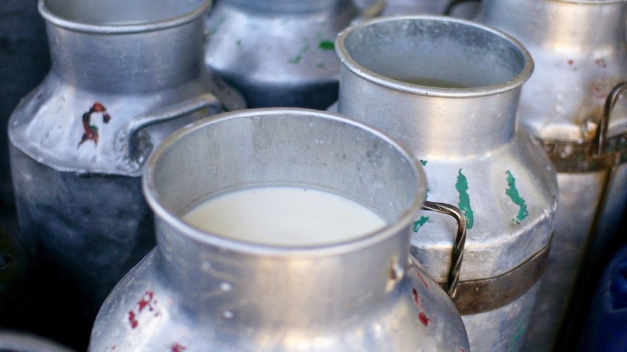 Milk Prices to Spike by Rs 10 to Rs 12 Overnight: Government Approval is the Only Step Away