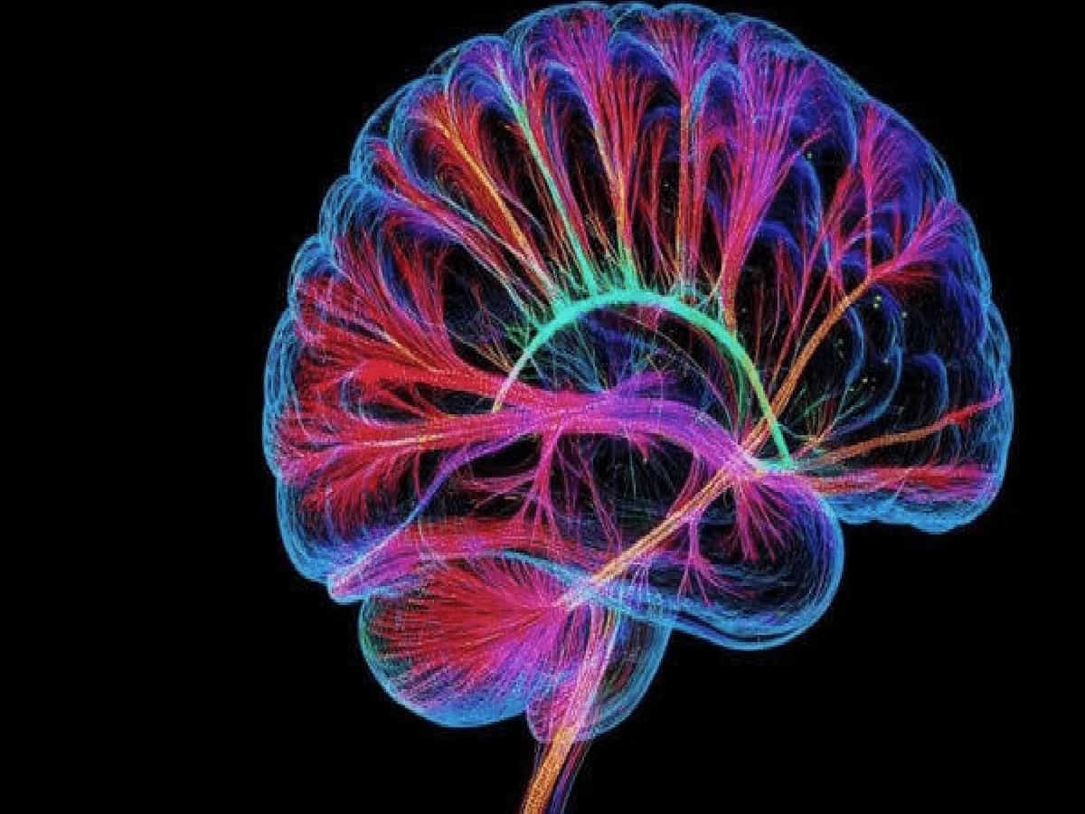 Brain's 'Default Mode Network' Discovered as Real Trigger in Breakthrough UC San Diego Study
