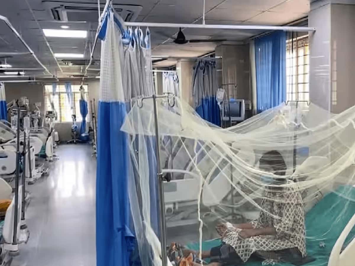 34 Hospitalized Across Major Facilities as Post-Rain Waterlogging Triggers Outbreak