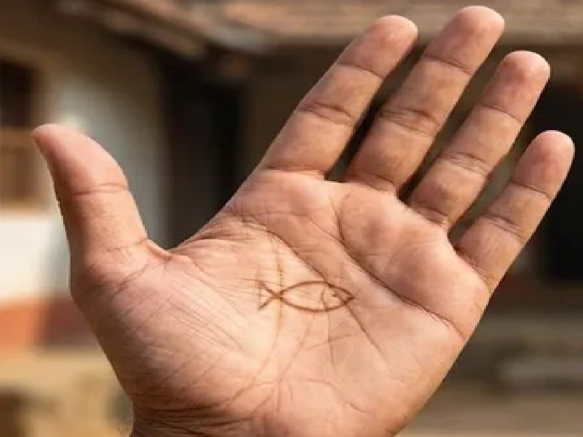 Rare Fish Sign on Your Hand Reveals About Sudden Wealth and Career Luck