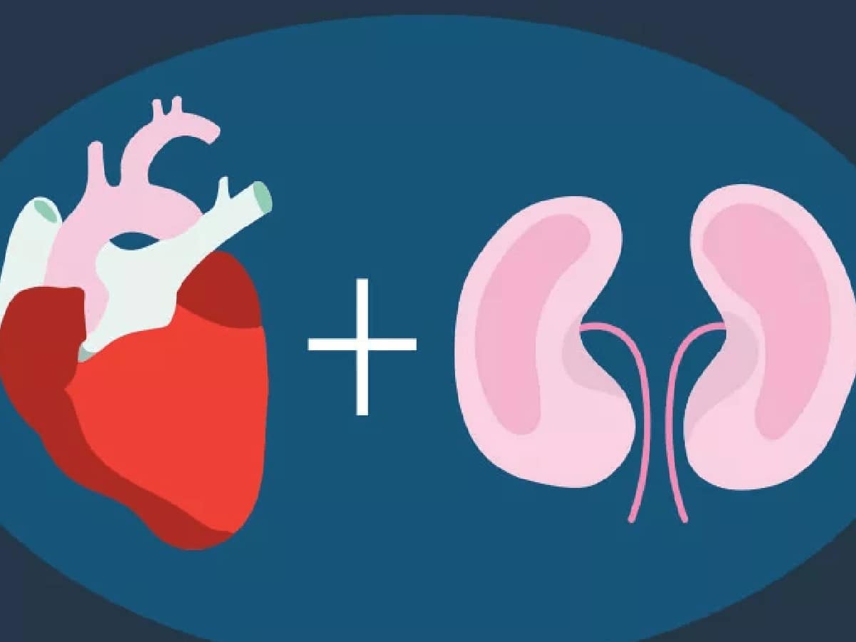 Consuming Too Much Can Damage Kidneys, Heart & Gut Health