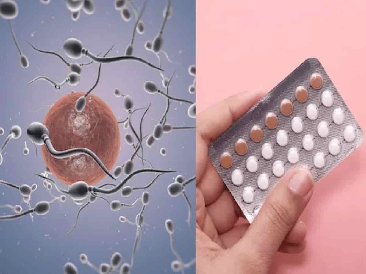 Revolution in Contraception: Scientists Develop Male Birth Control Pill That Freezes Sperm