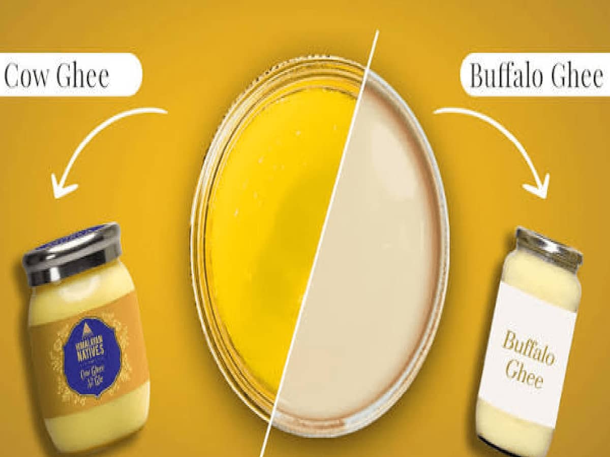 Cow Ghee vs Buffalo Ghee: Which One Is Better for Your Health